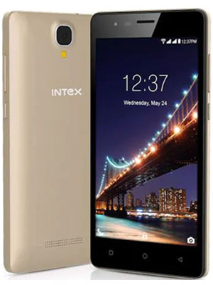 Intex Aqua Lions 2