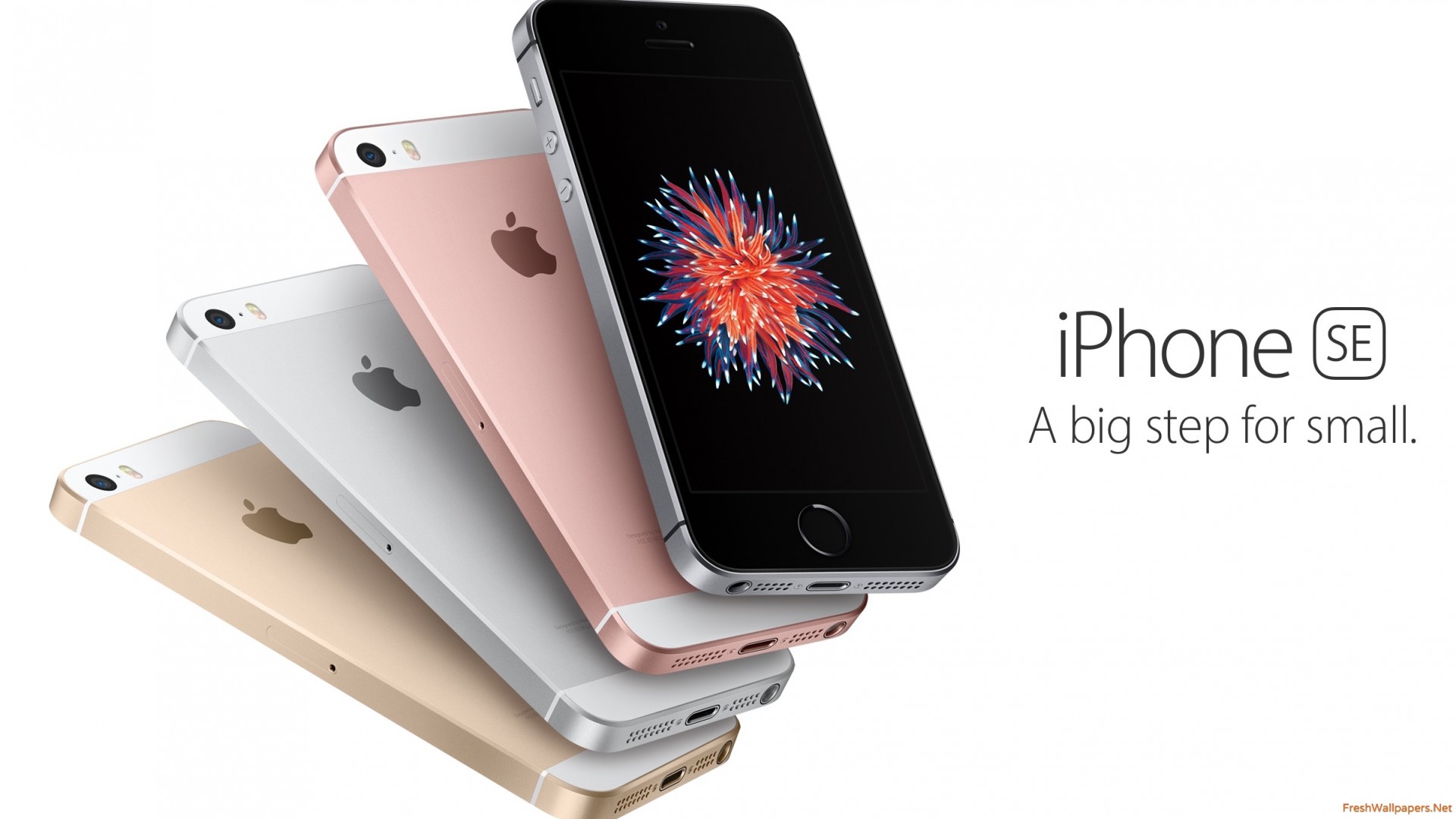 Apple iPhone SE Price in Sudan, Khartoum, Omdurman, Nyala