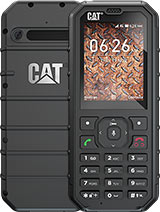 Cat  Price in USA, Array