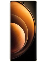 Vivo X100